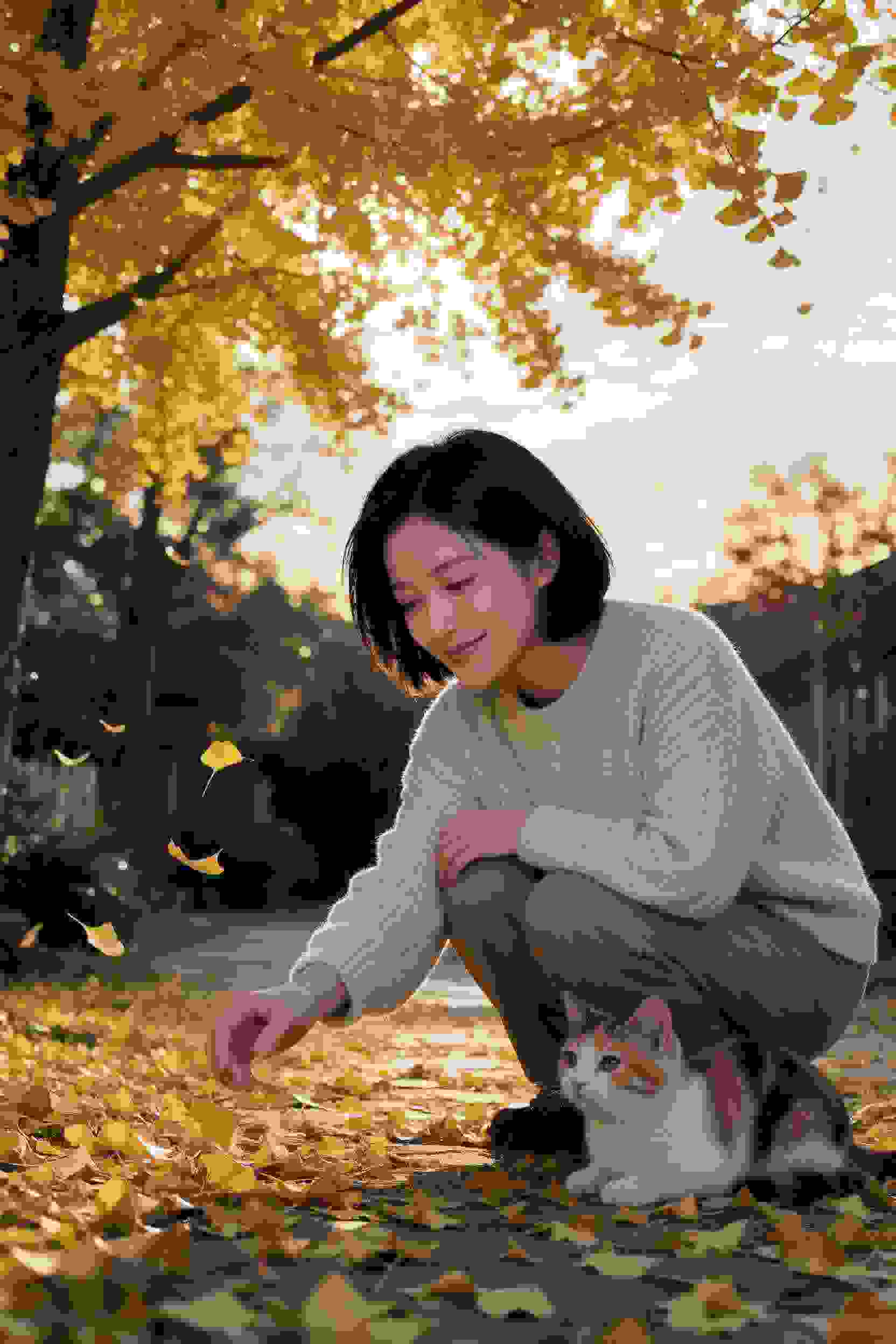 天选之子的陷阱